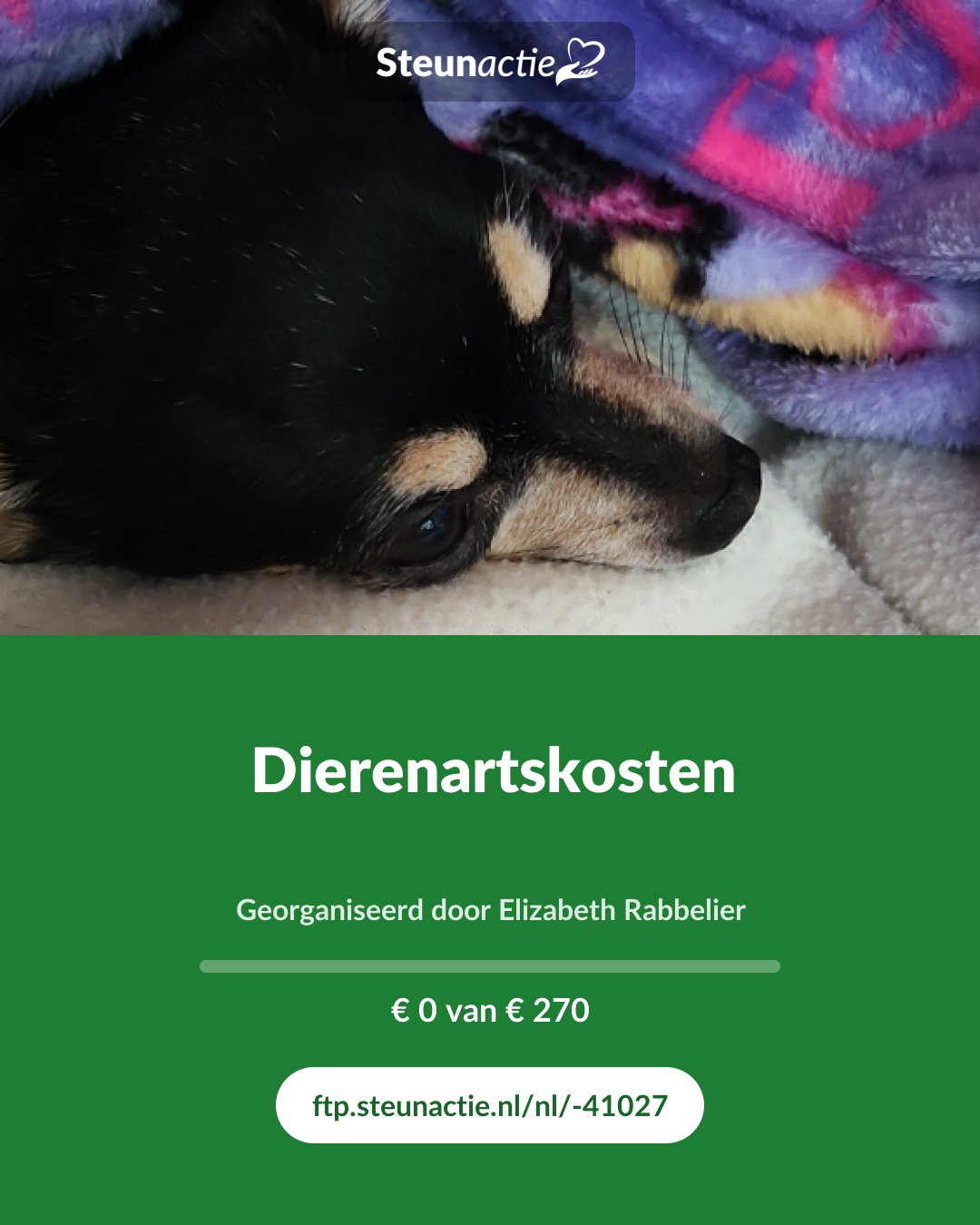 Voorbeeld van de afbeelding