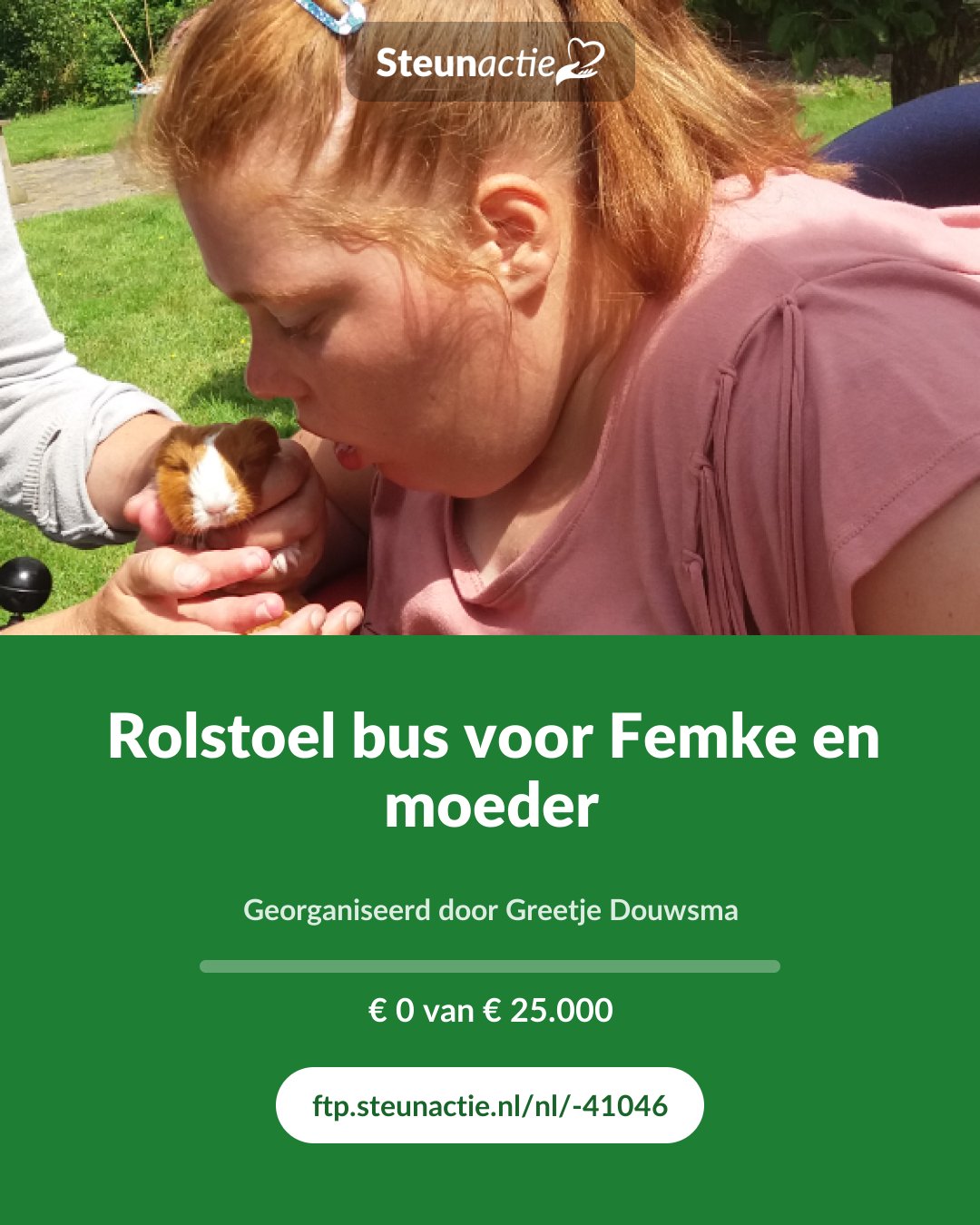 Voorbeeld van de afbeelding