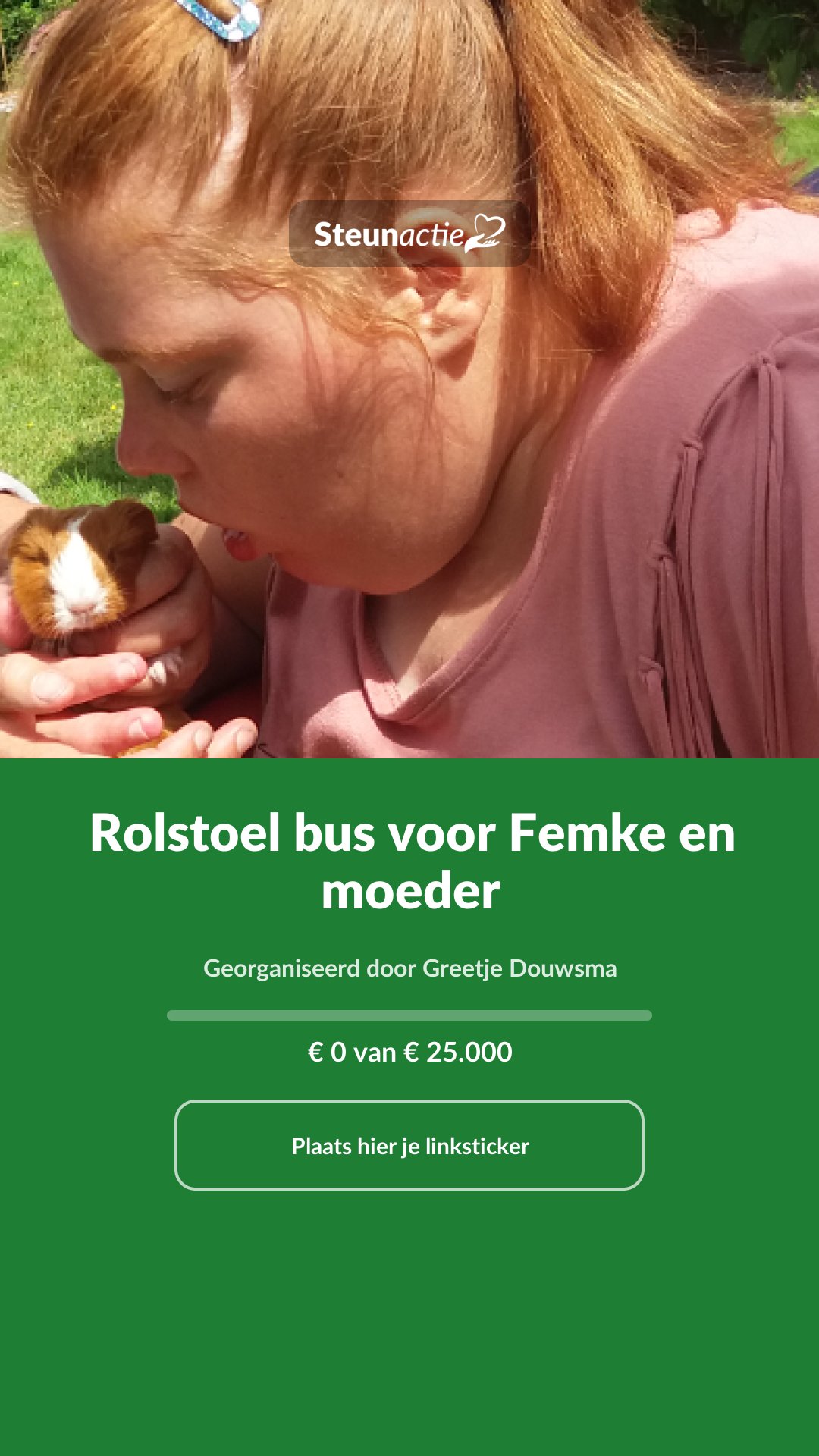 Voorbeeld van de afbeelding
