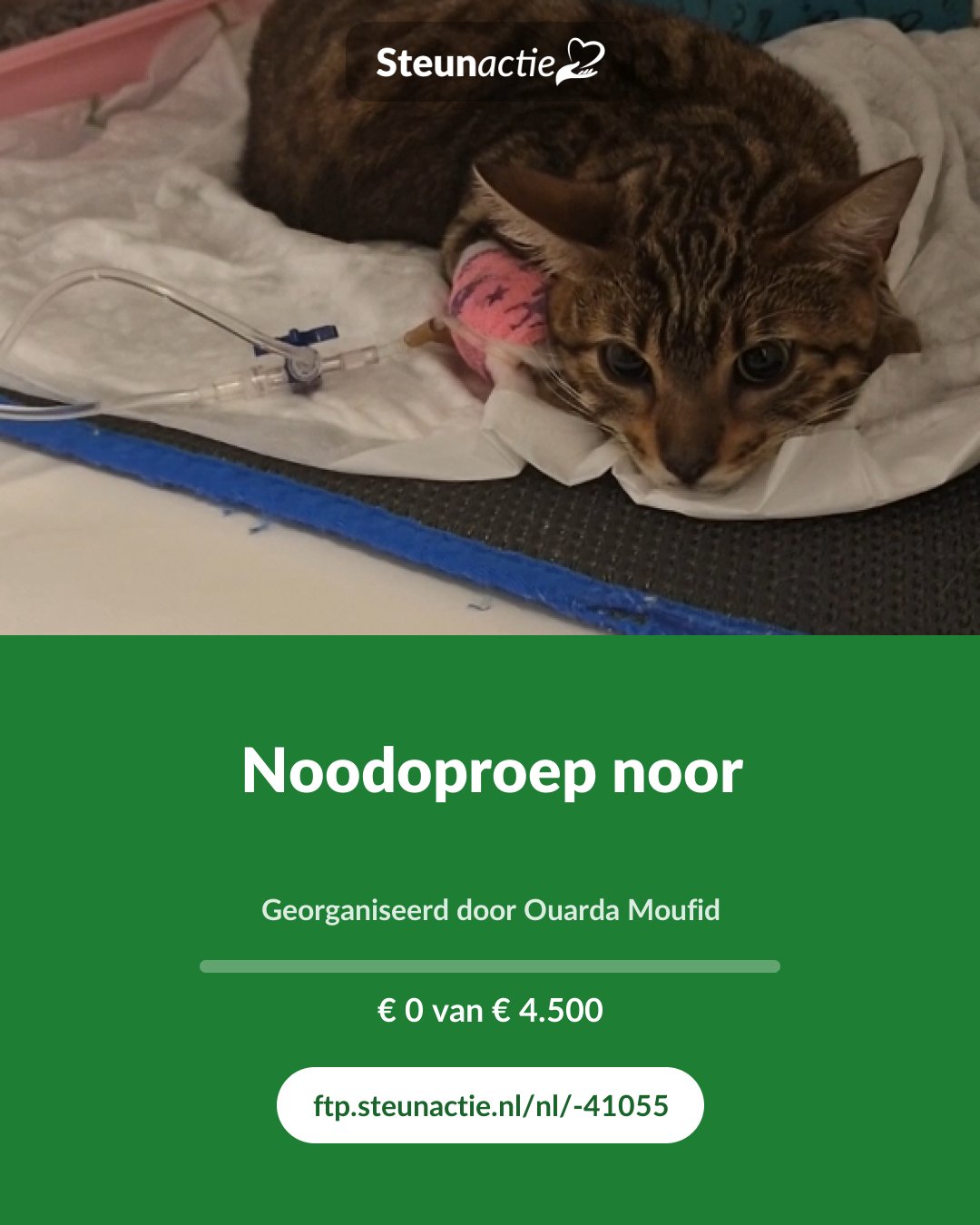 Voorbeeld van de afbeelding