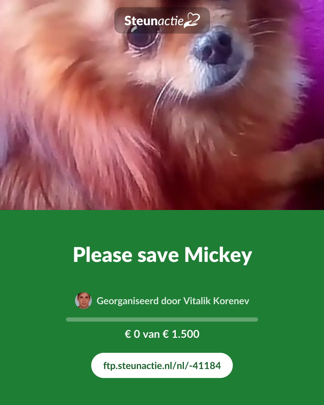 Voorbeeld van de afbeelding