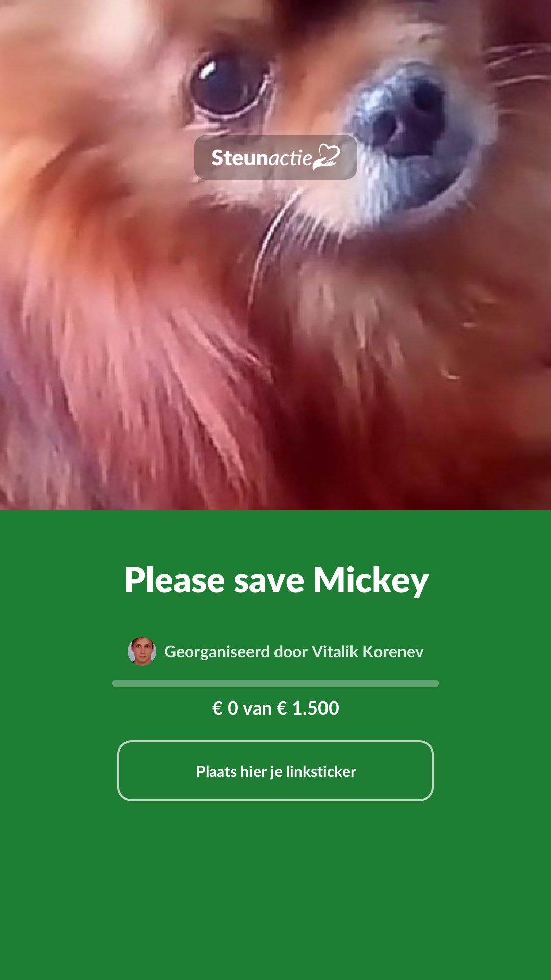 Voorbeeld van de afbeelding