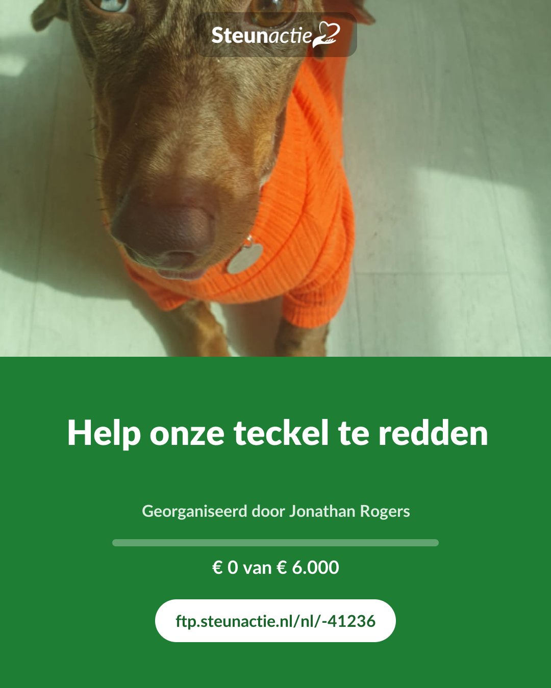 Voorbeeld van de afbeelding