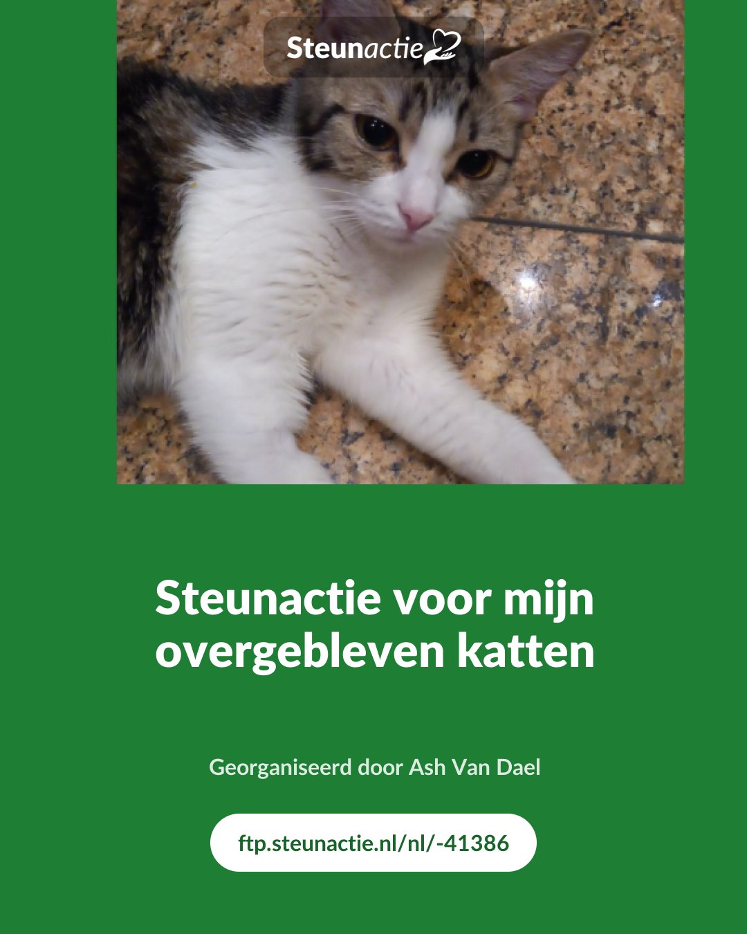 Voorbeeld van de afbeelding