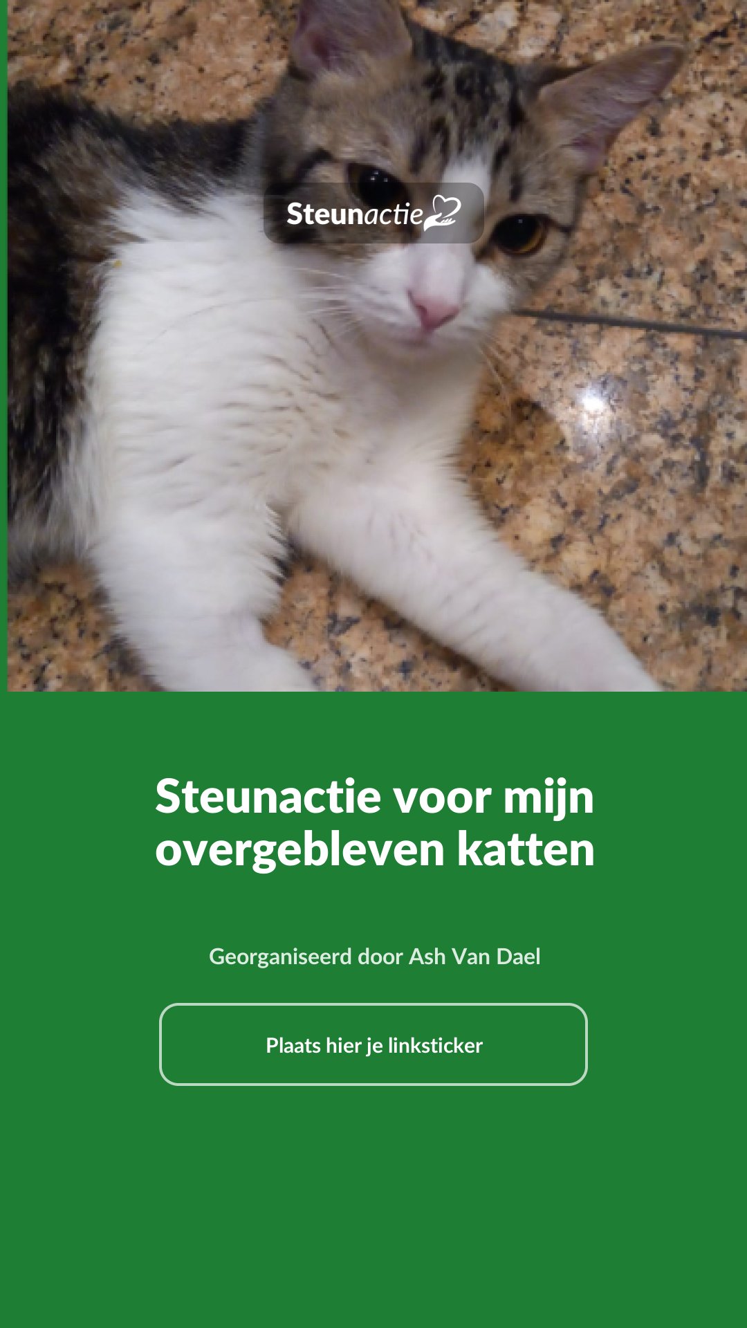 Voorbeeld van de afbeelding