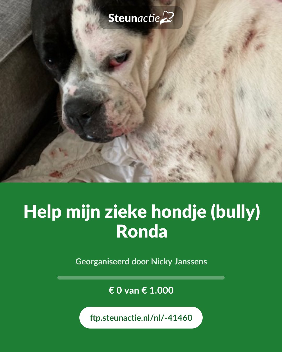 Voorbeeld van de afbeelding