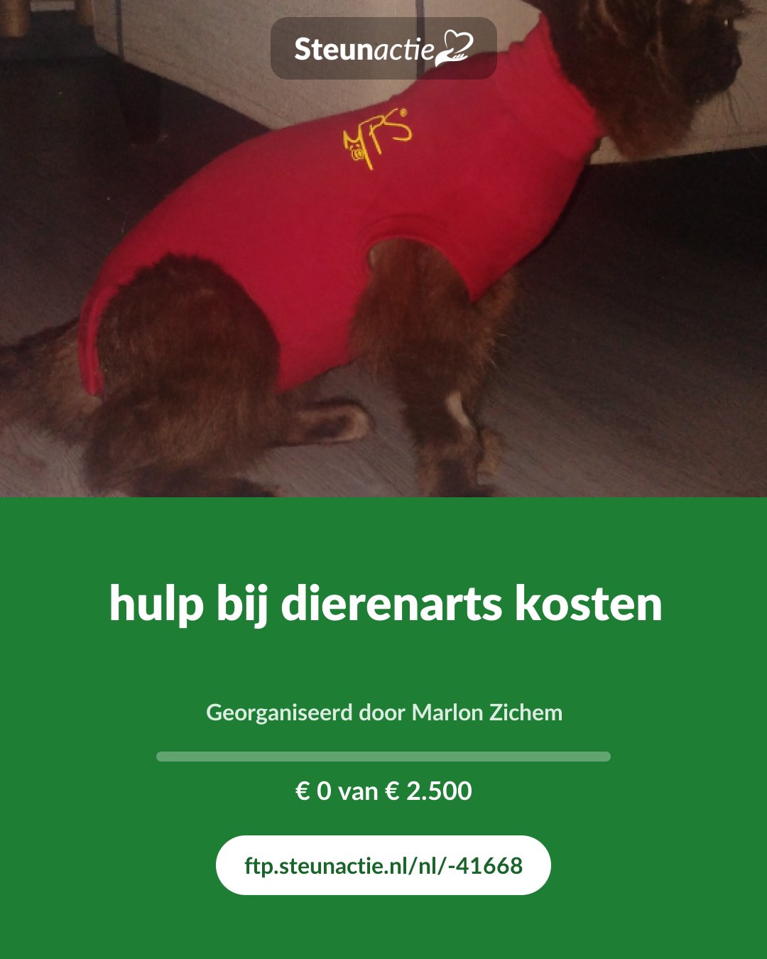 Voorbeeld van de afbeelding