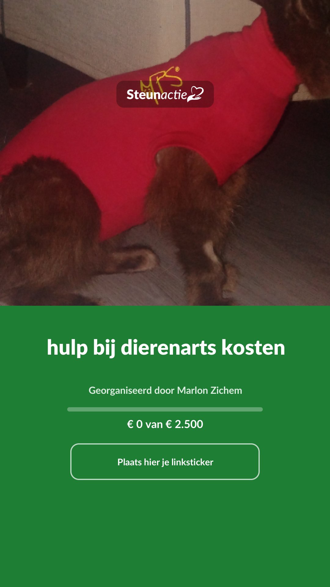 Voorbeeld van de afbeelding