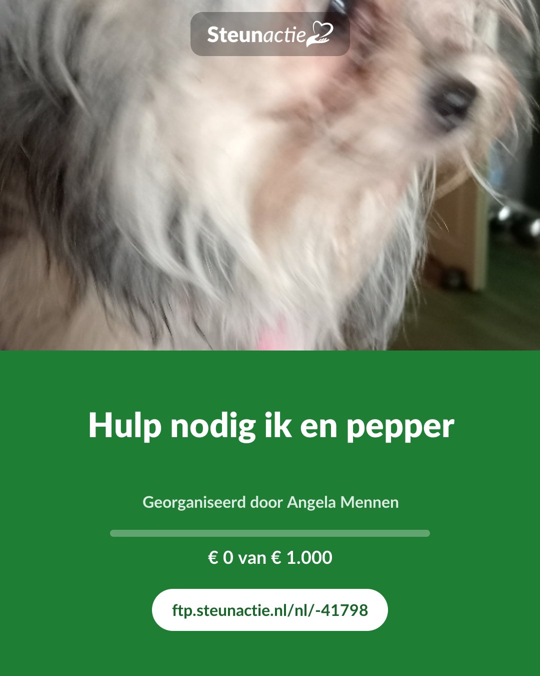 Voorbeeld van de afbeelding