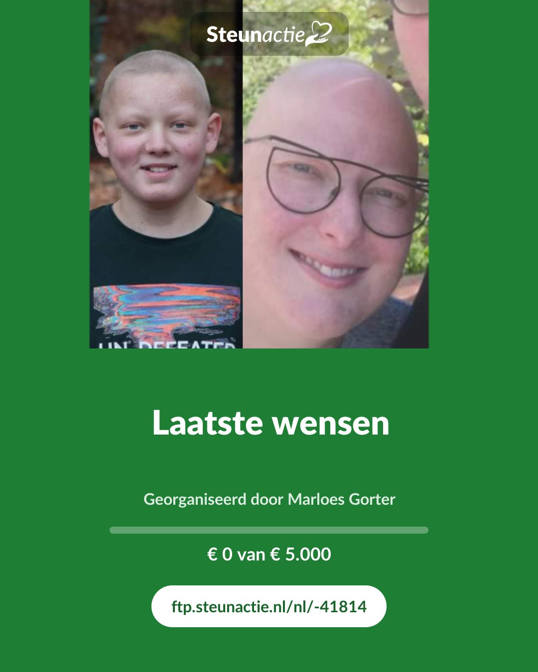 Voorbeeld van de afbeelding