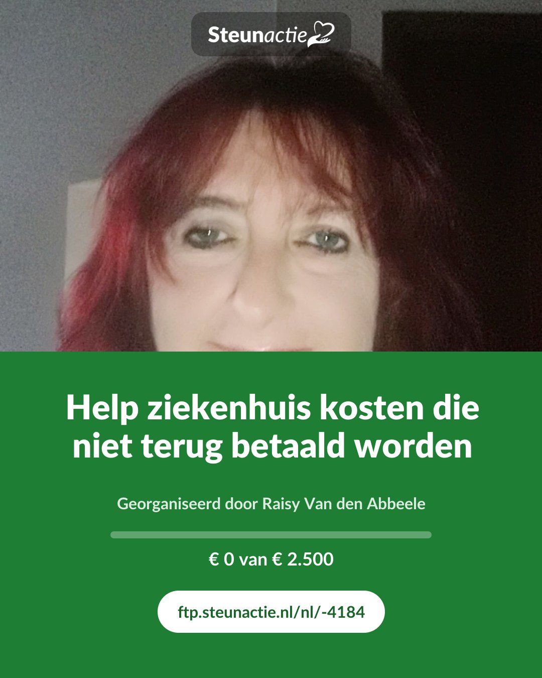 Voorbeeld van de afbeelding