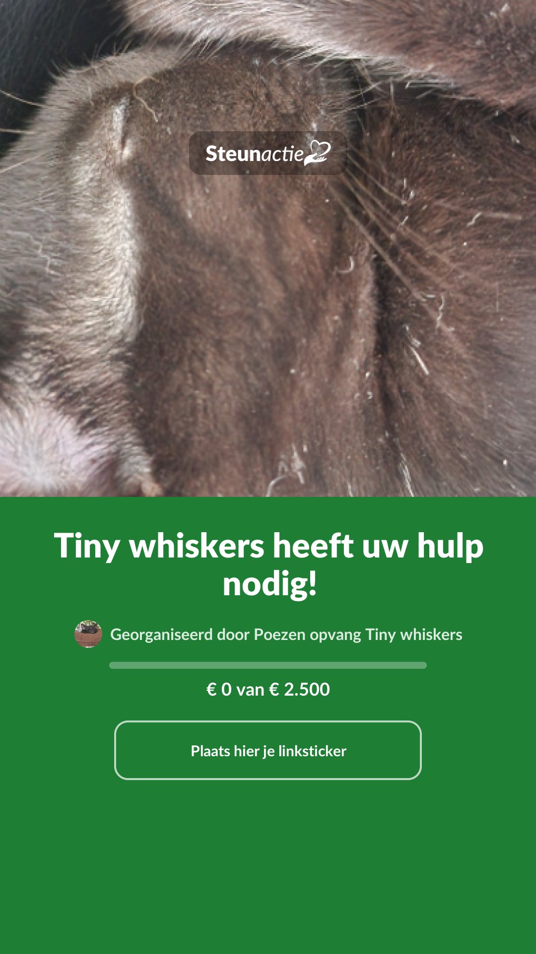 Voorbeeld van de afbeelding