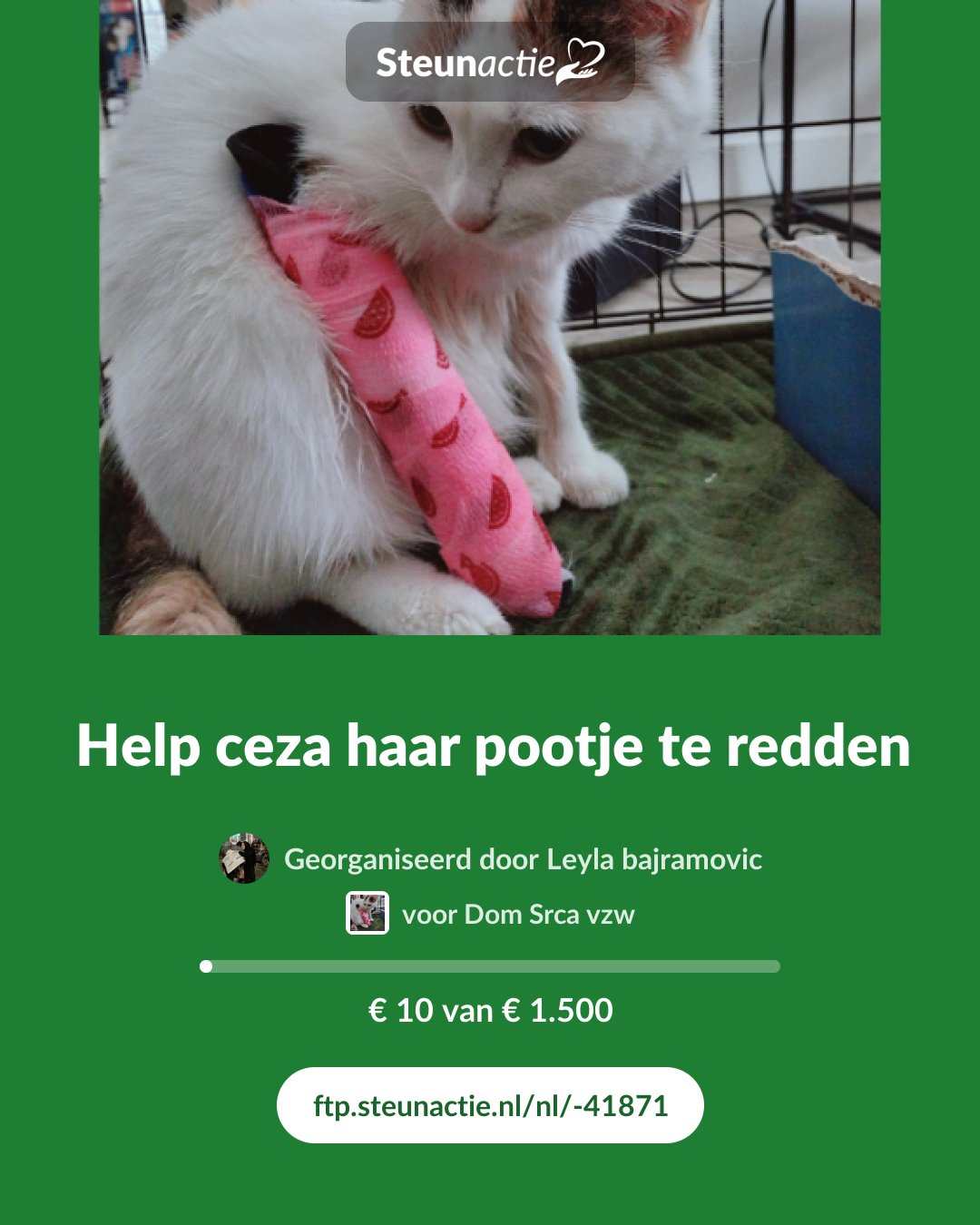 Voorbeeld van de afbeelding