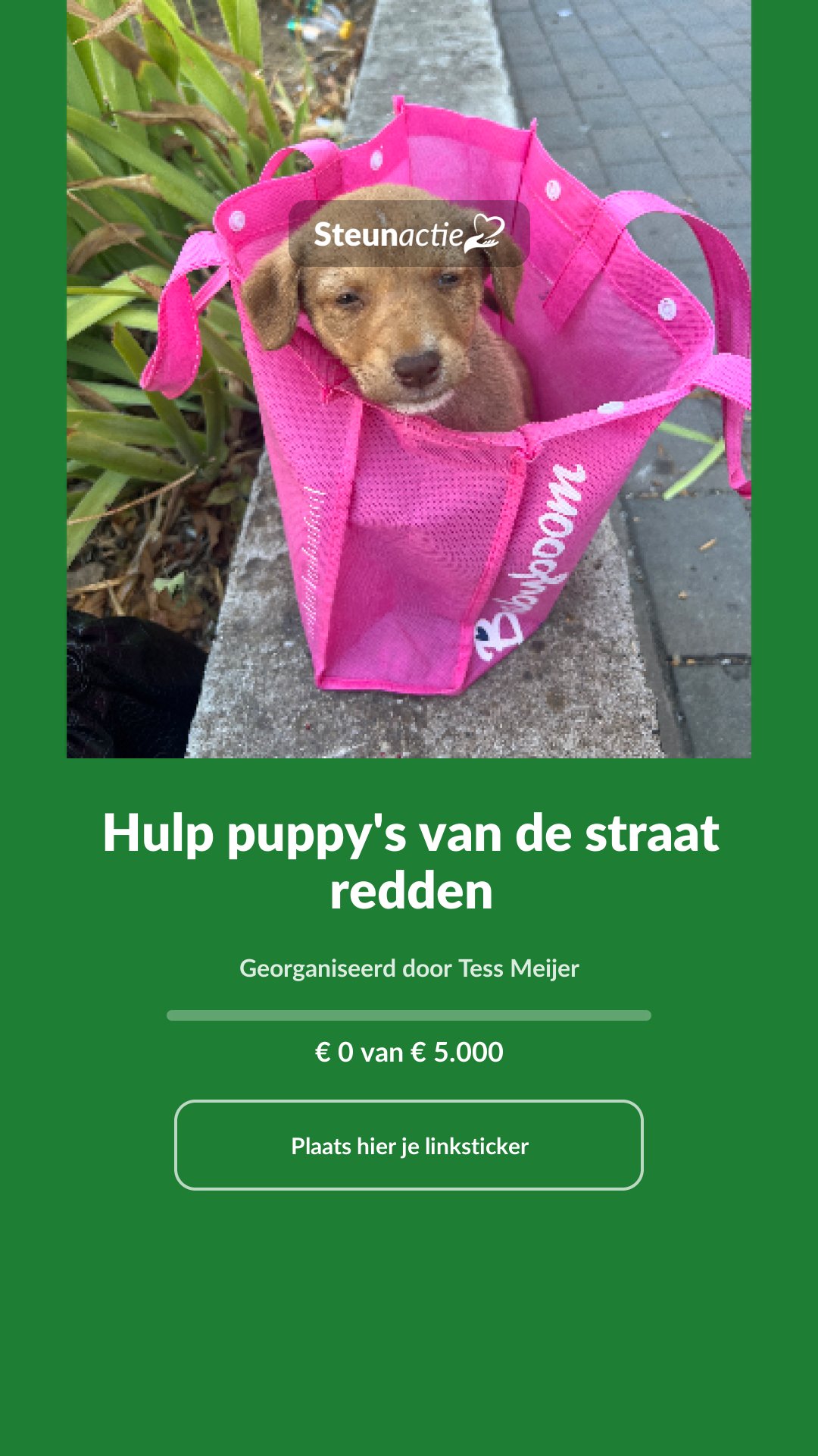 Voorbeeld van de afbeelding