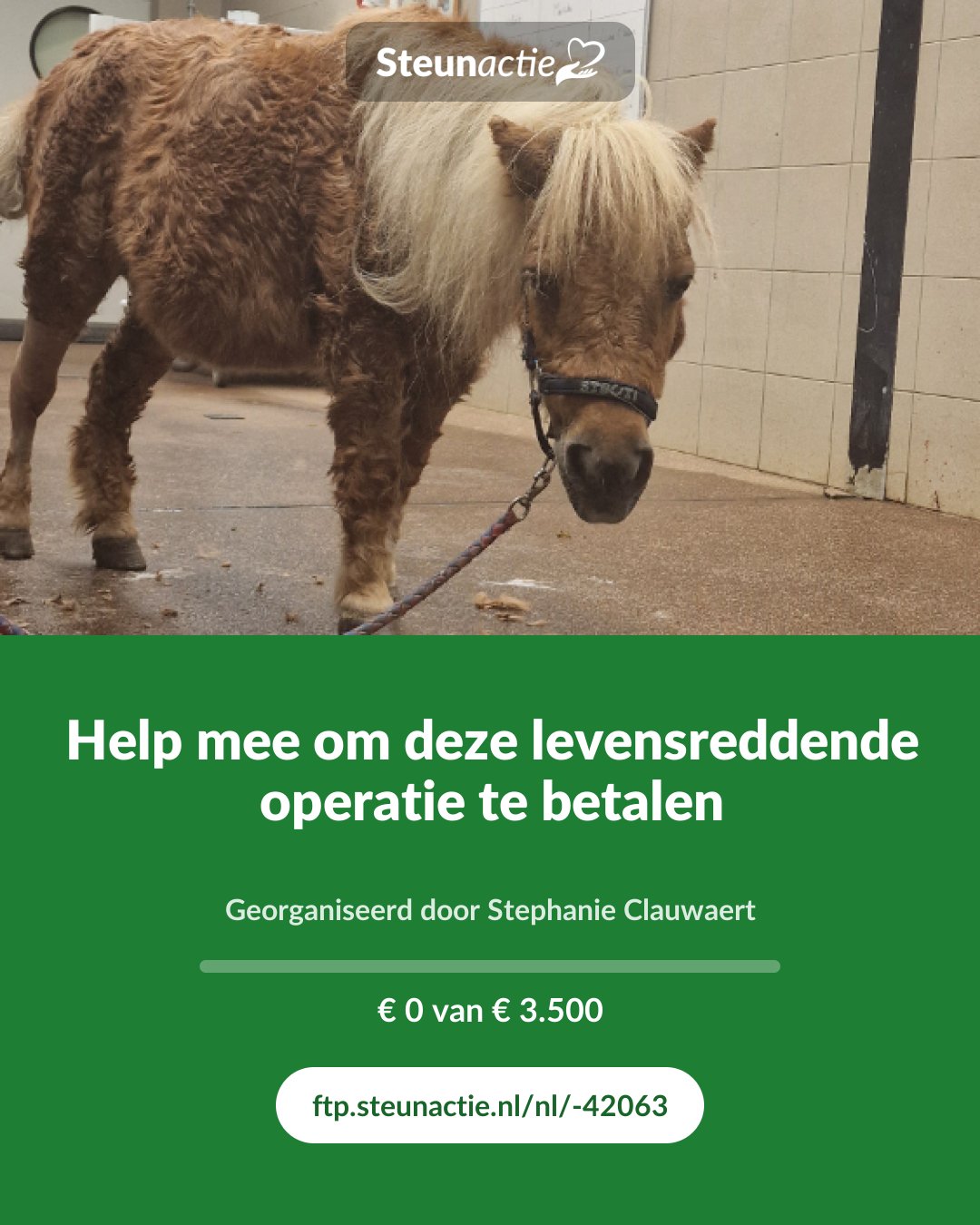Voorbeeld van de afbeelding
