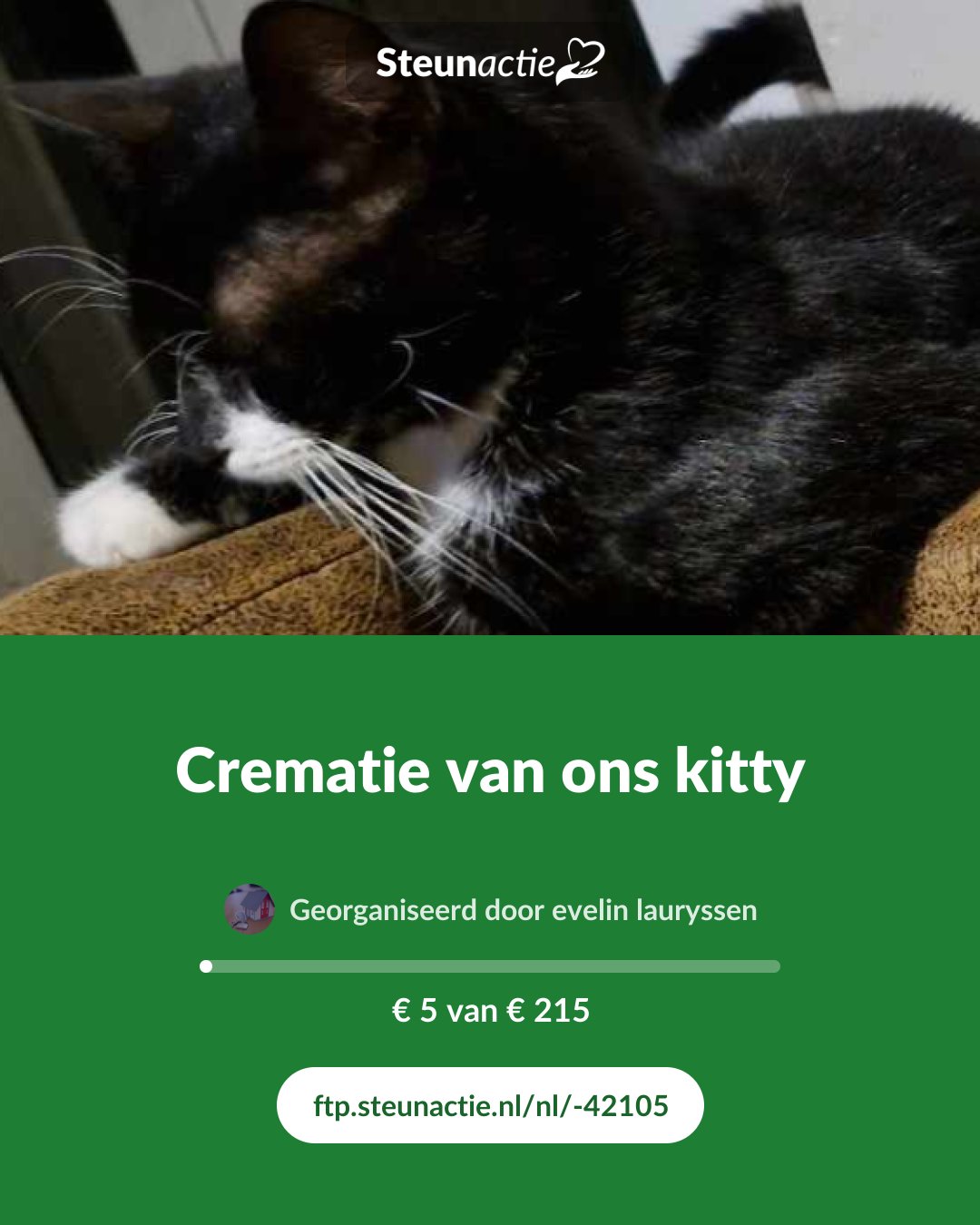Voorbeeld van de afbeelding
