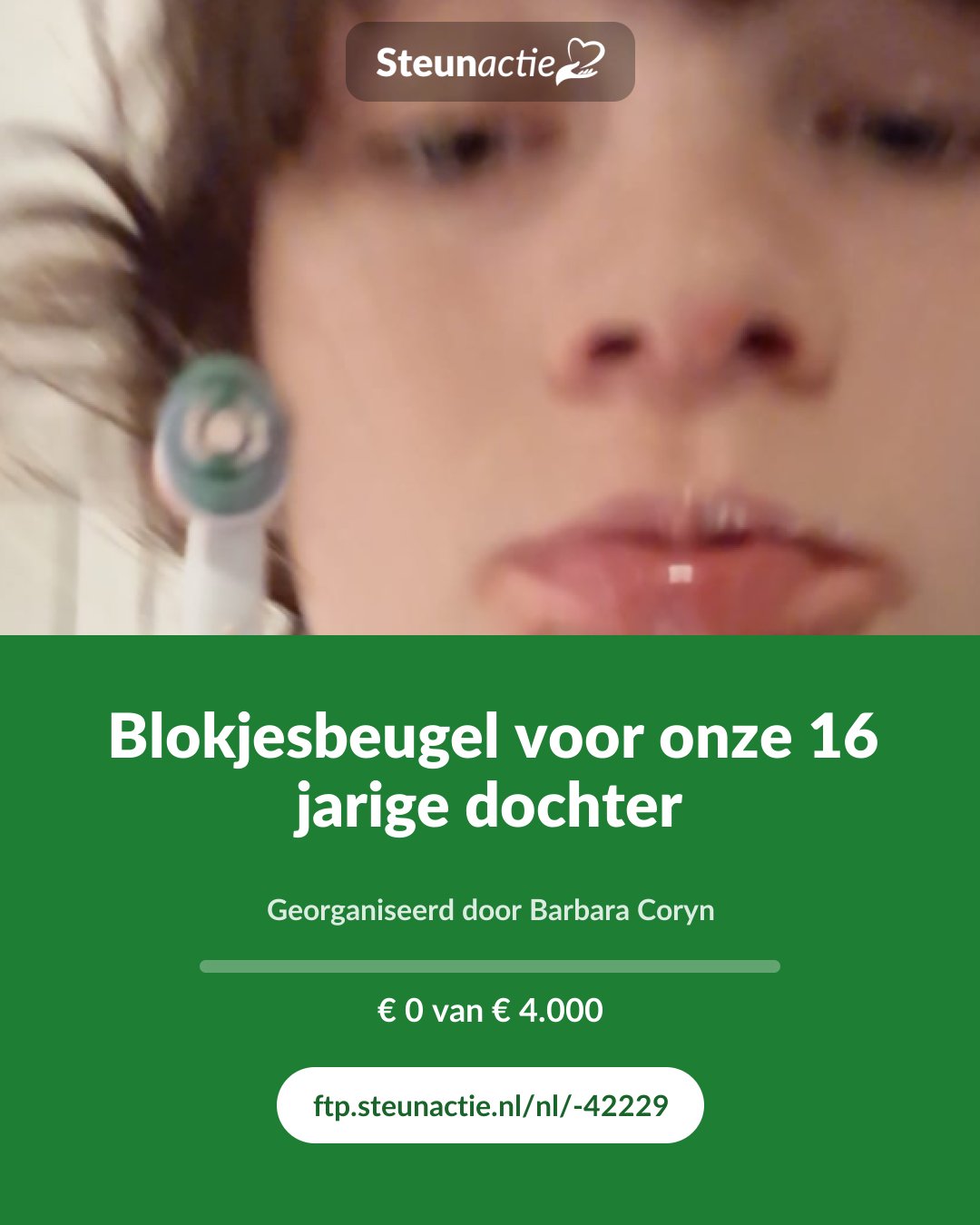 Voorbeeld van de afbeelding