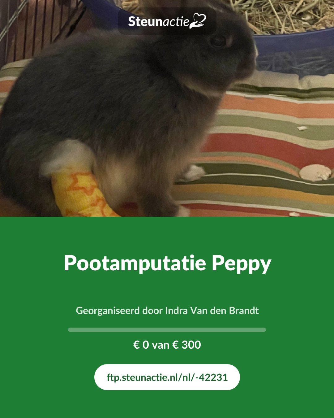 Voorbeeld van de afbeelding