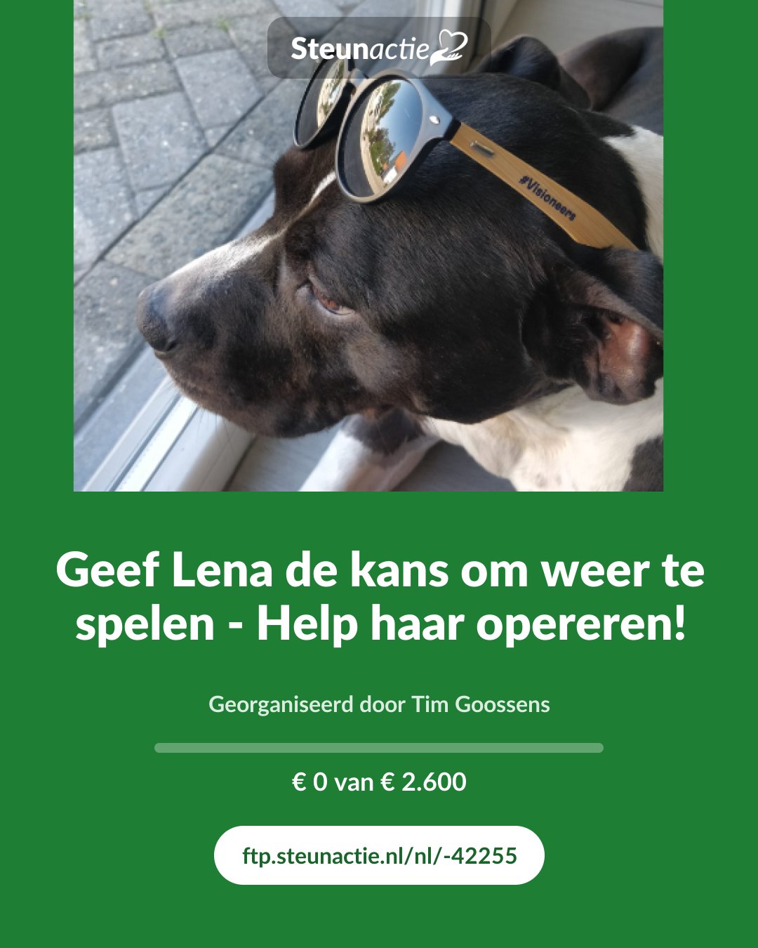 Voorbeeld van de afbeelding