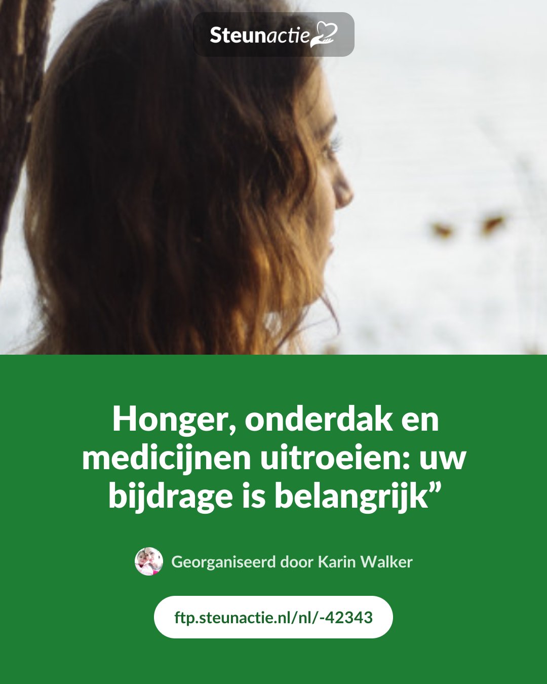 Voorbeeld van de afbeelding