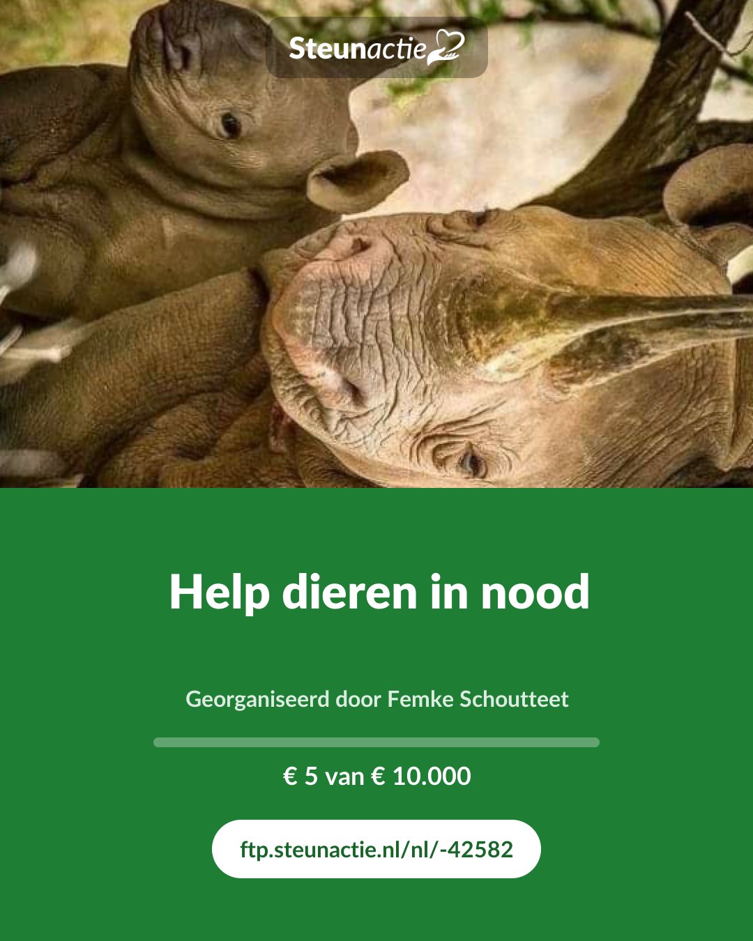 Voorbeeld van de afbeelding