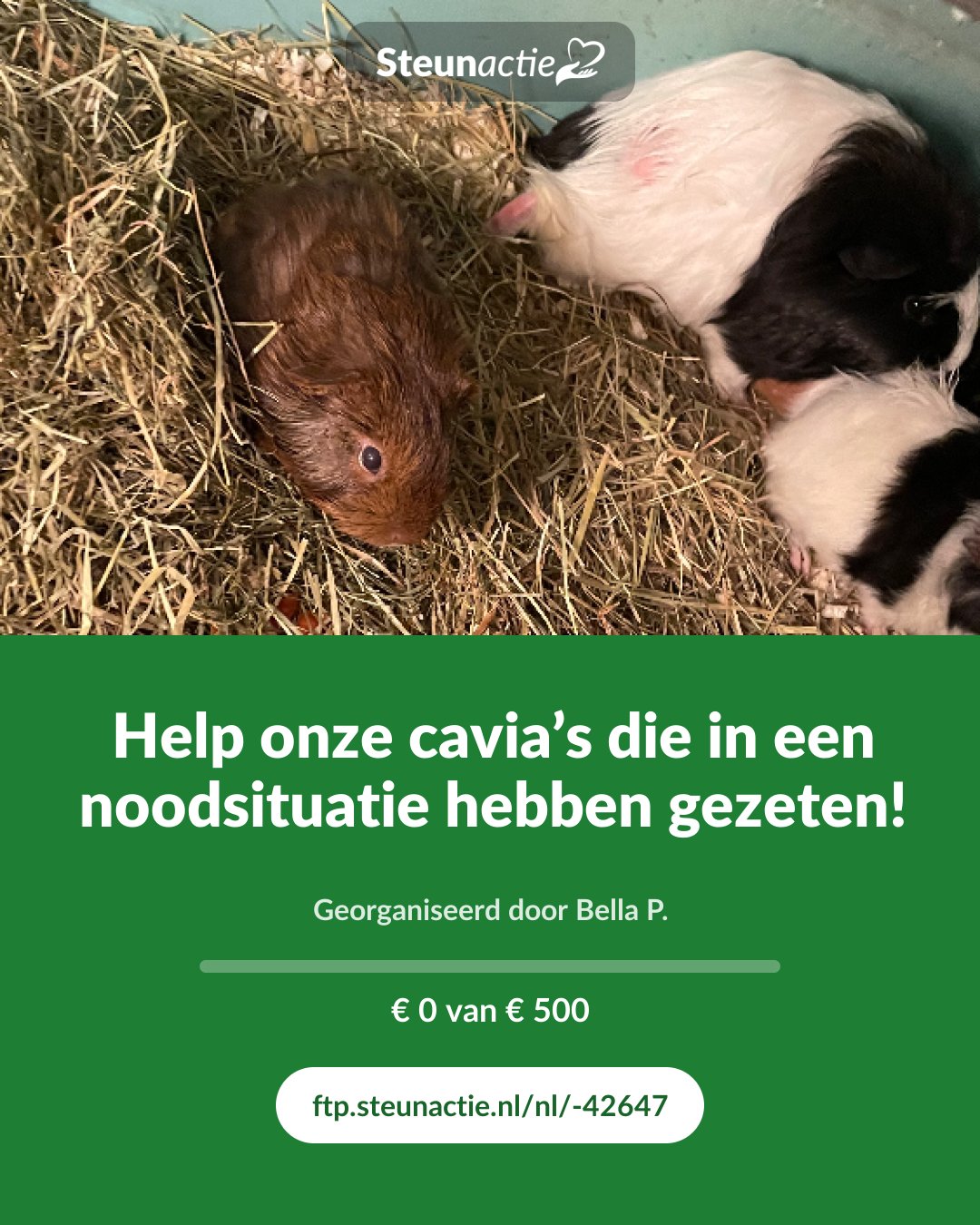 Voorbeeld van de afbeelding