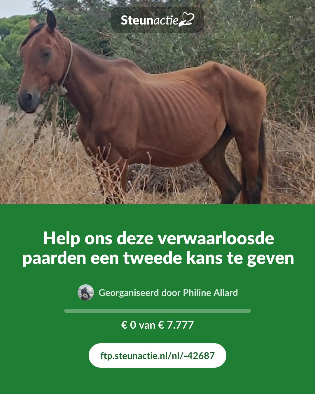 Voorbeeld van de afbeelding