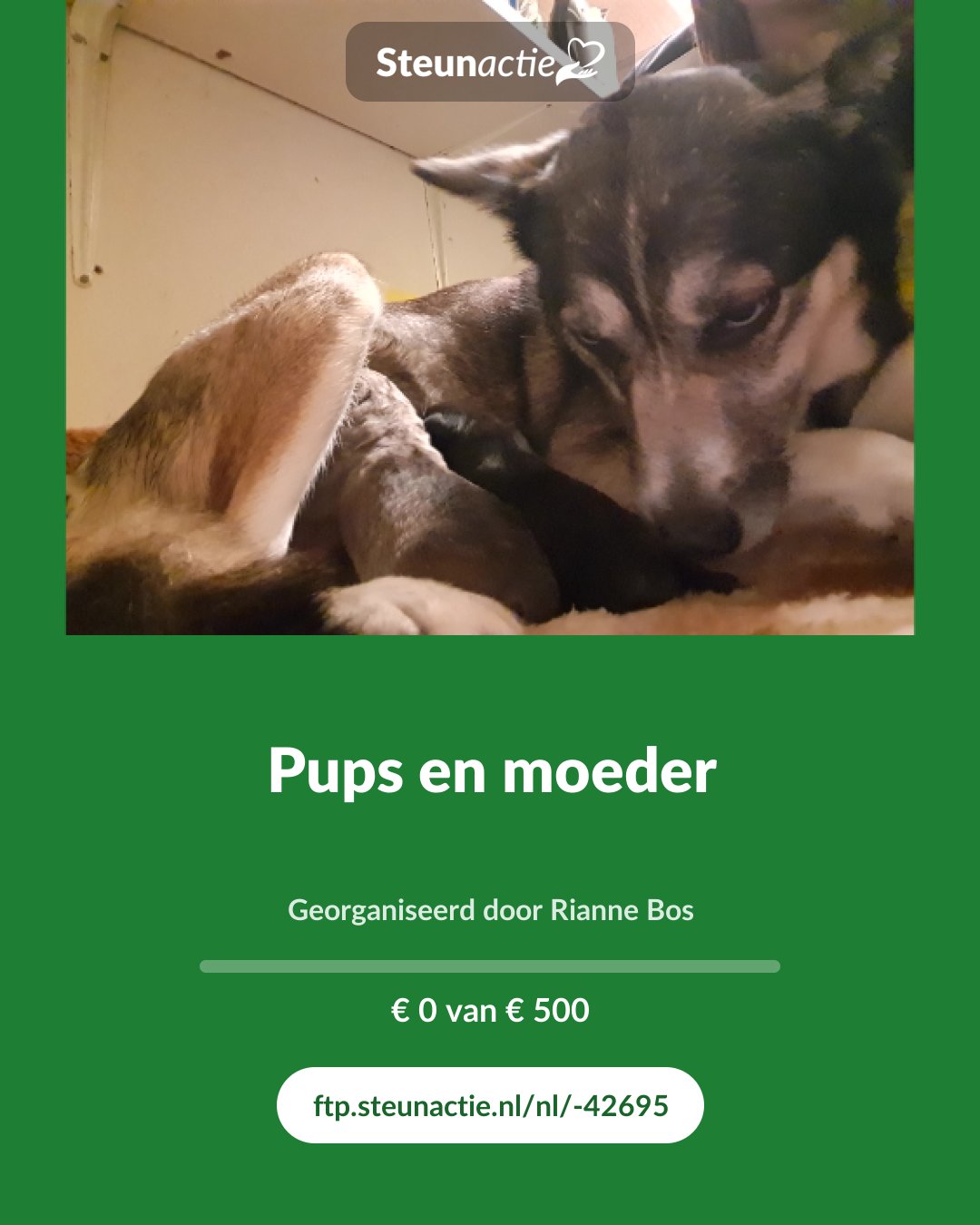 Voorbeeld van de afbeelding