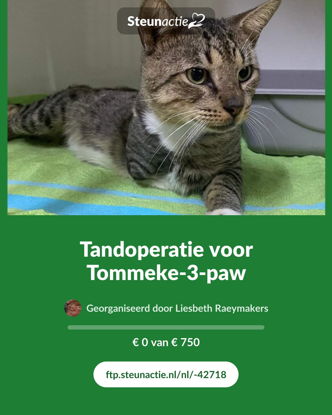 Voorbeeld van de afbeelding