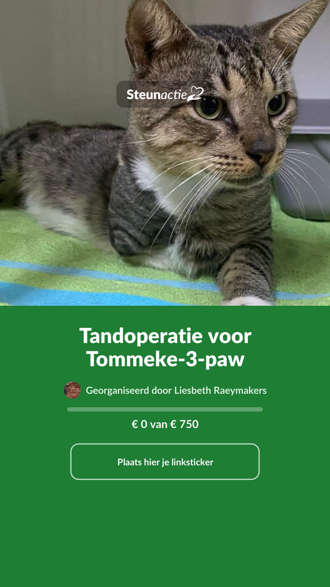 Voorbeeld van de afbeelding