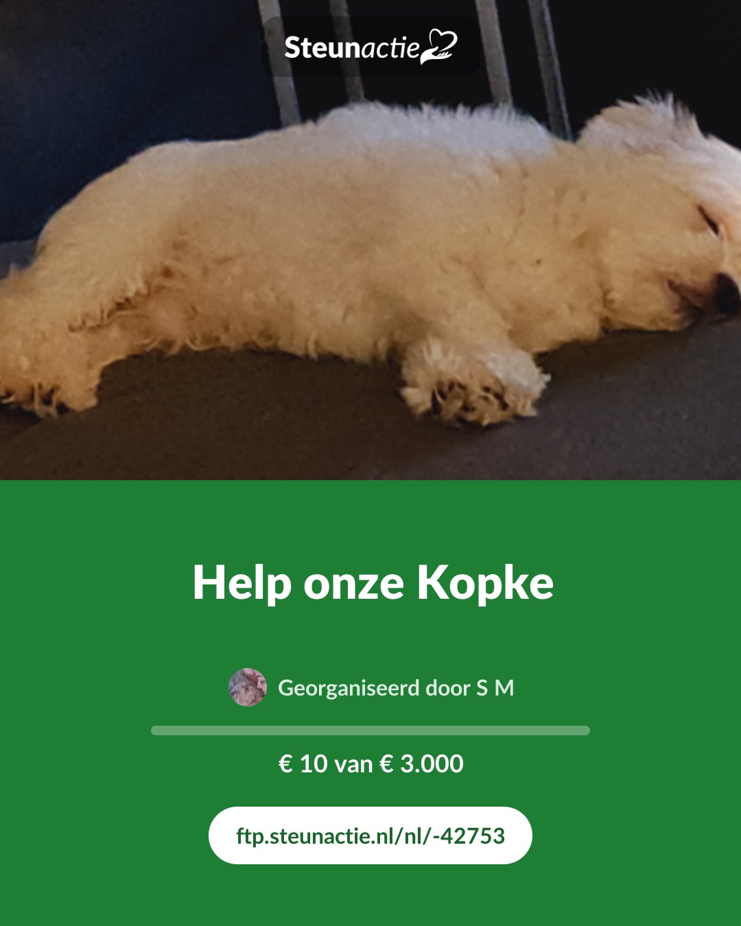 Voorbeeld van de afbeelding