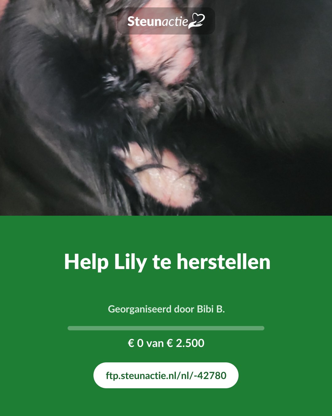 Voorbeeld van de afbeelding