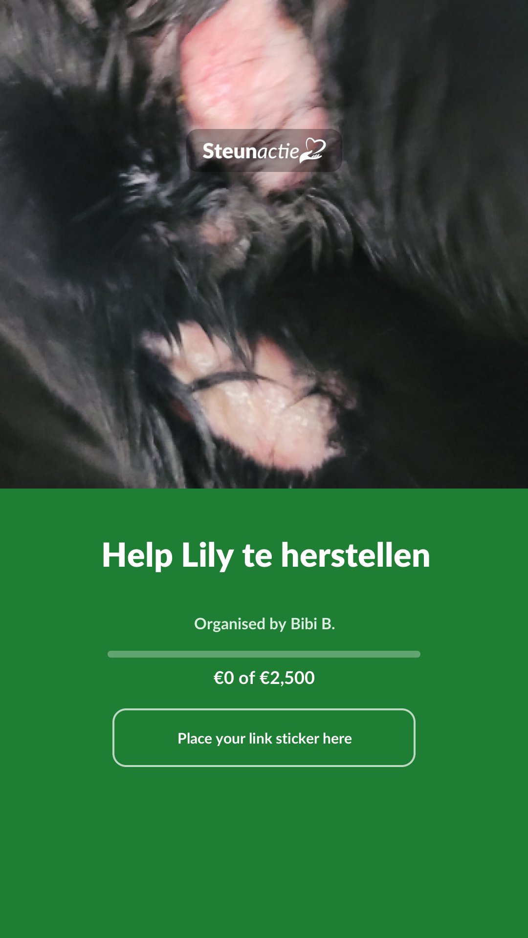 Preview of the image