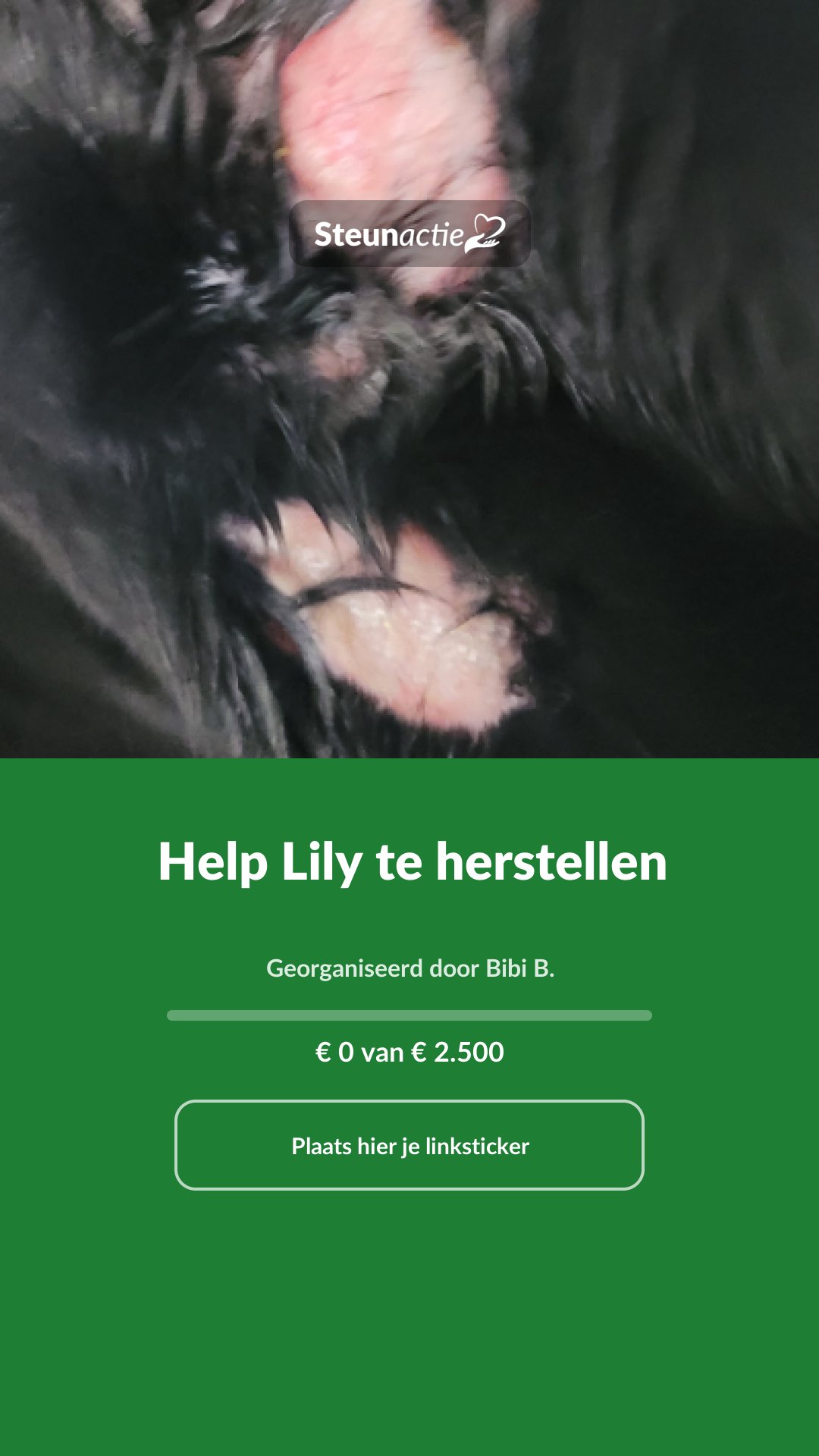 Voorbeeld van de afbeelding