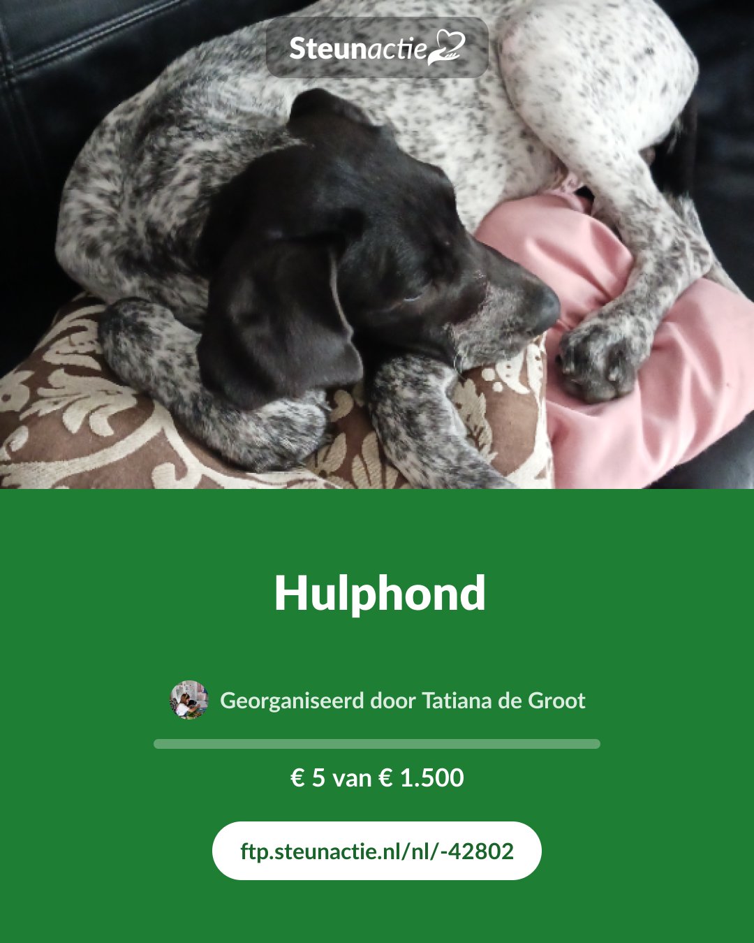 Voorbeeld van de afbeelding