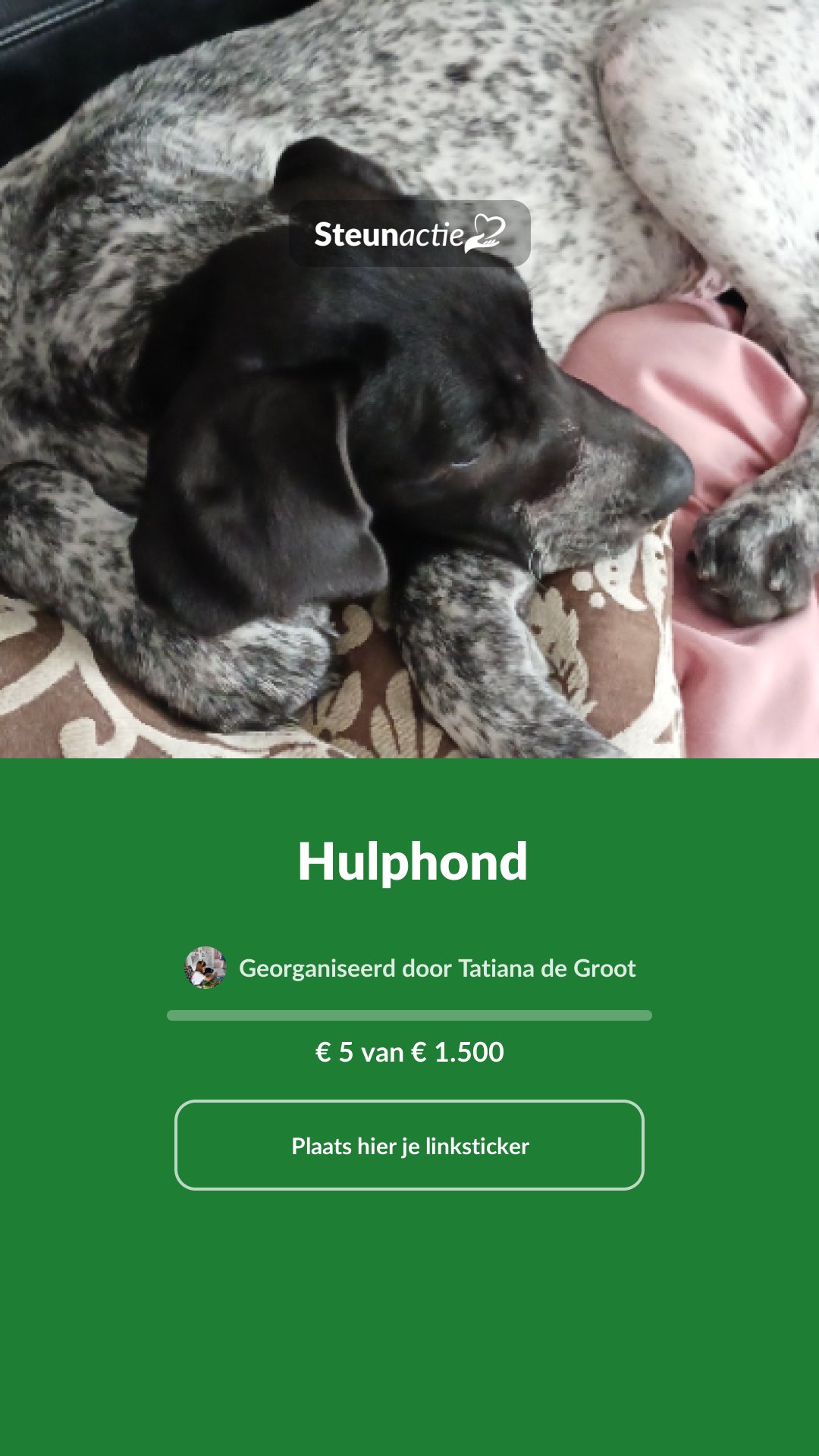 Voorbeeld van de afbeelding