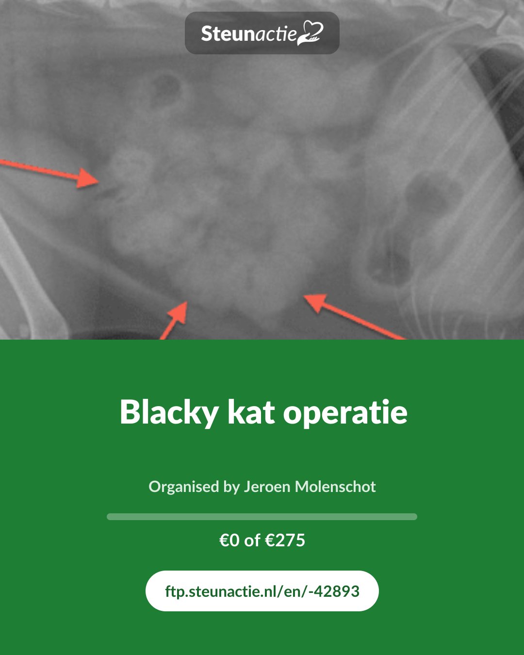 Preview of the image