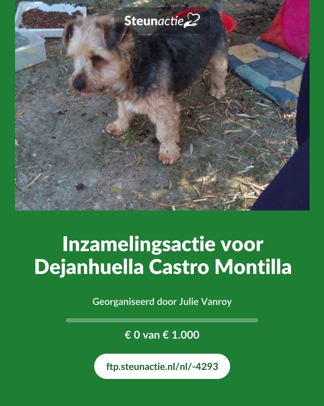 Voorbeeld van de afbeelding