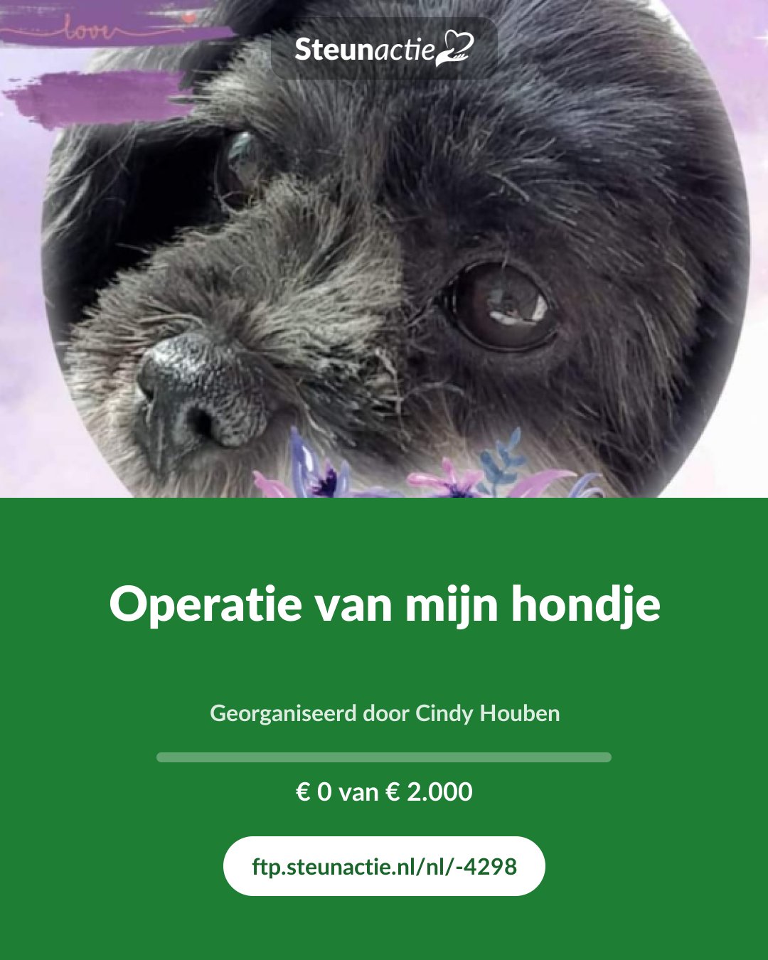 Voorbeeld van de afbeelding