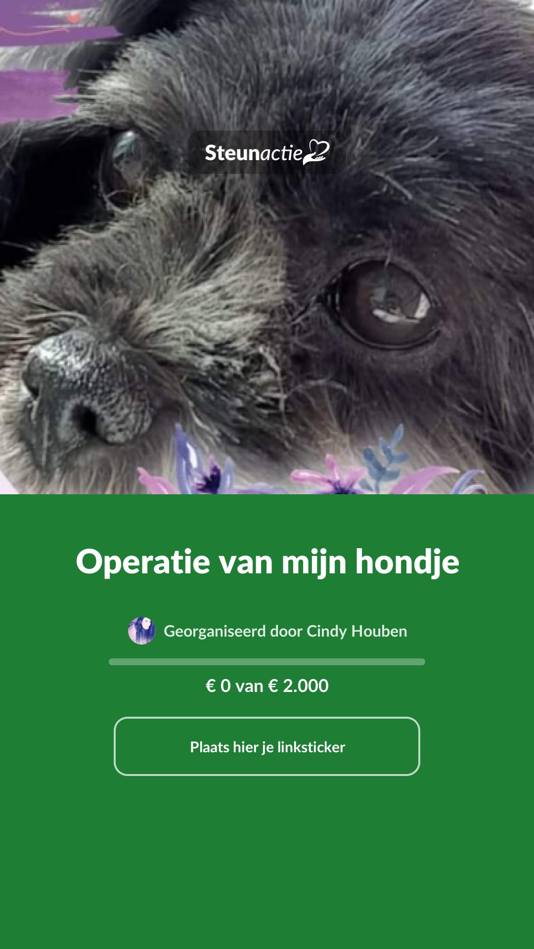 Voorbeeld van de afbeelding