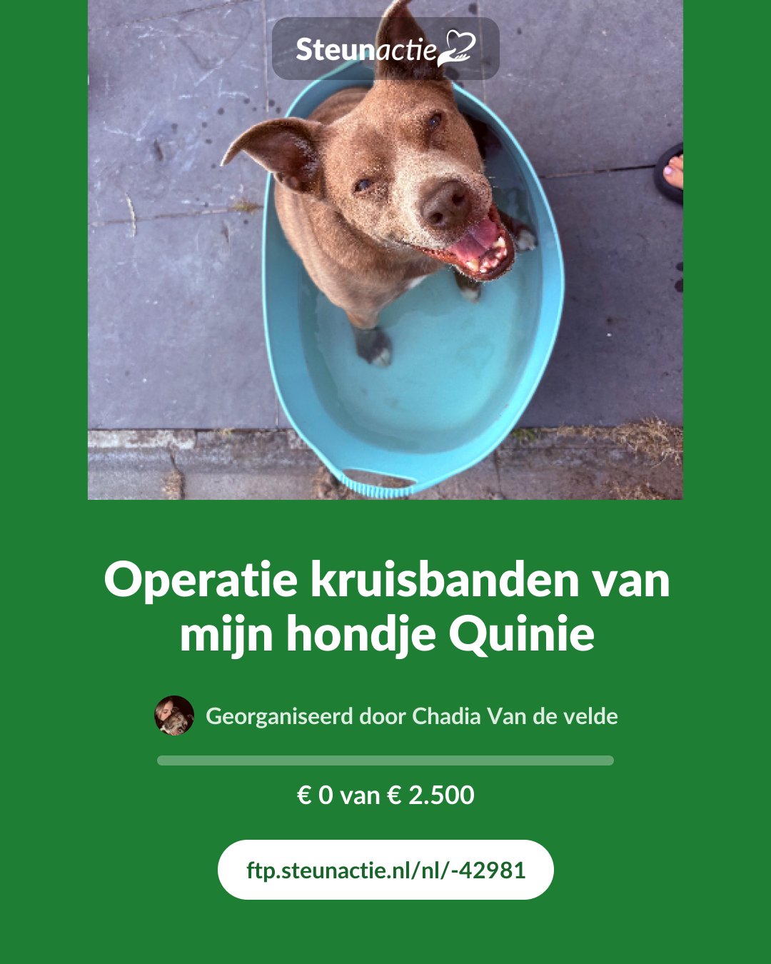 Voorbeeld van de afbeelding