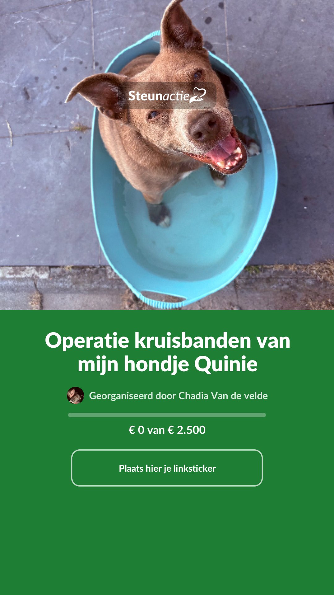 Voorbeeld van de afbeelding