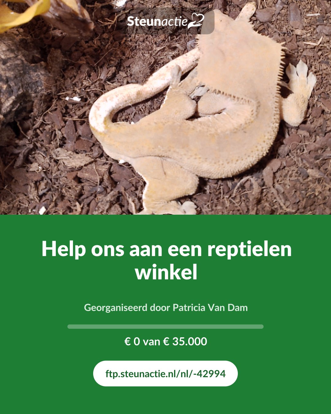 Voorbeeld van de afbeelding