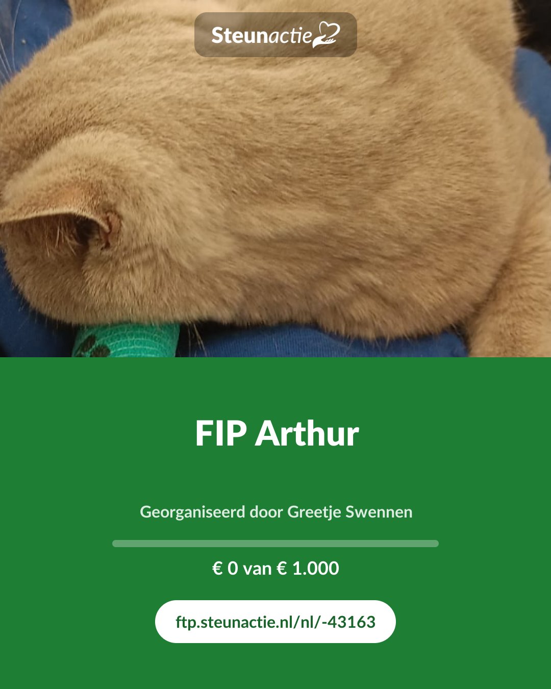 Voorbeeld van de afbeelding