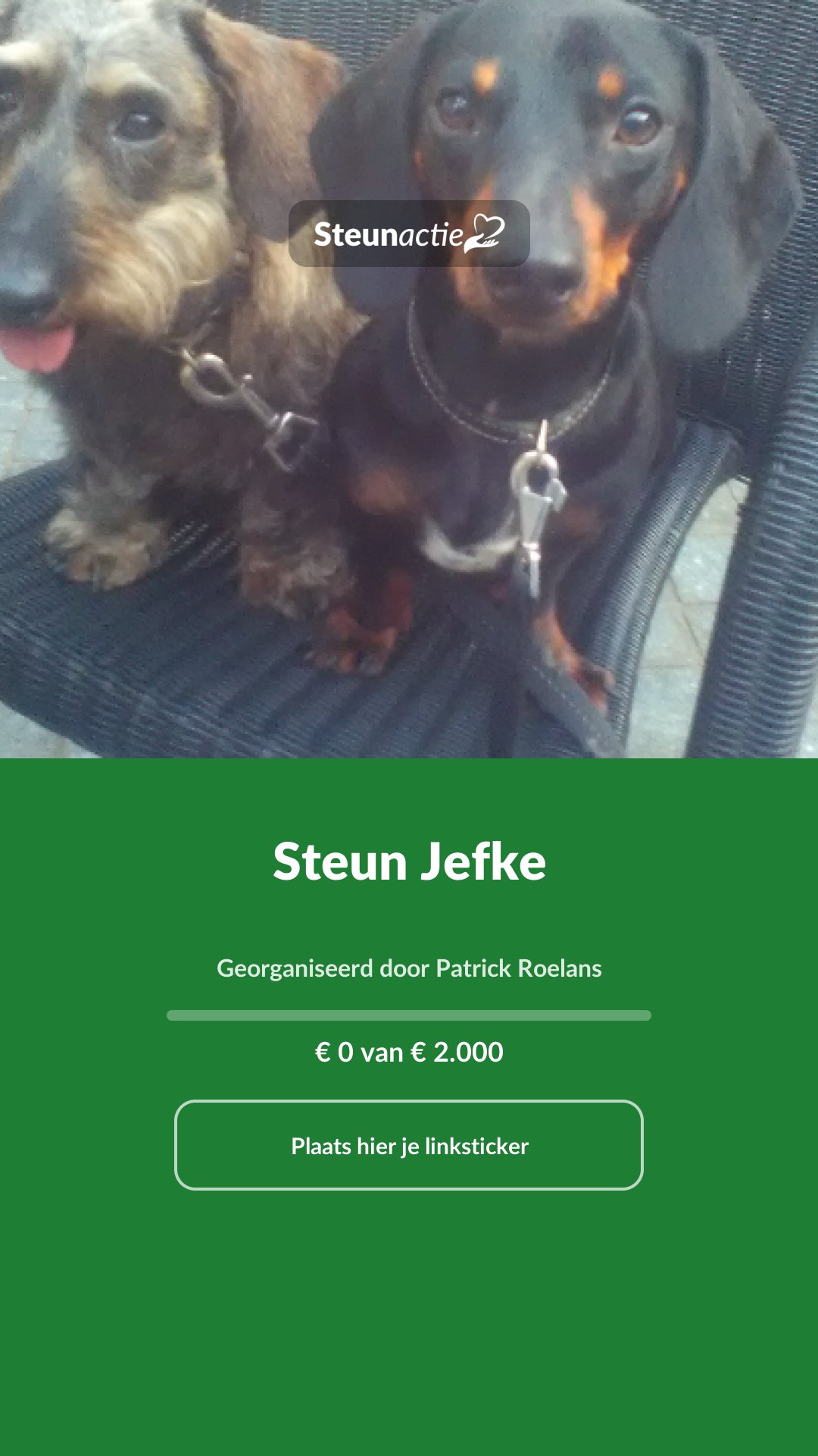 Voorbeeld van de afbeelding