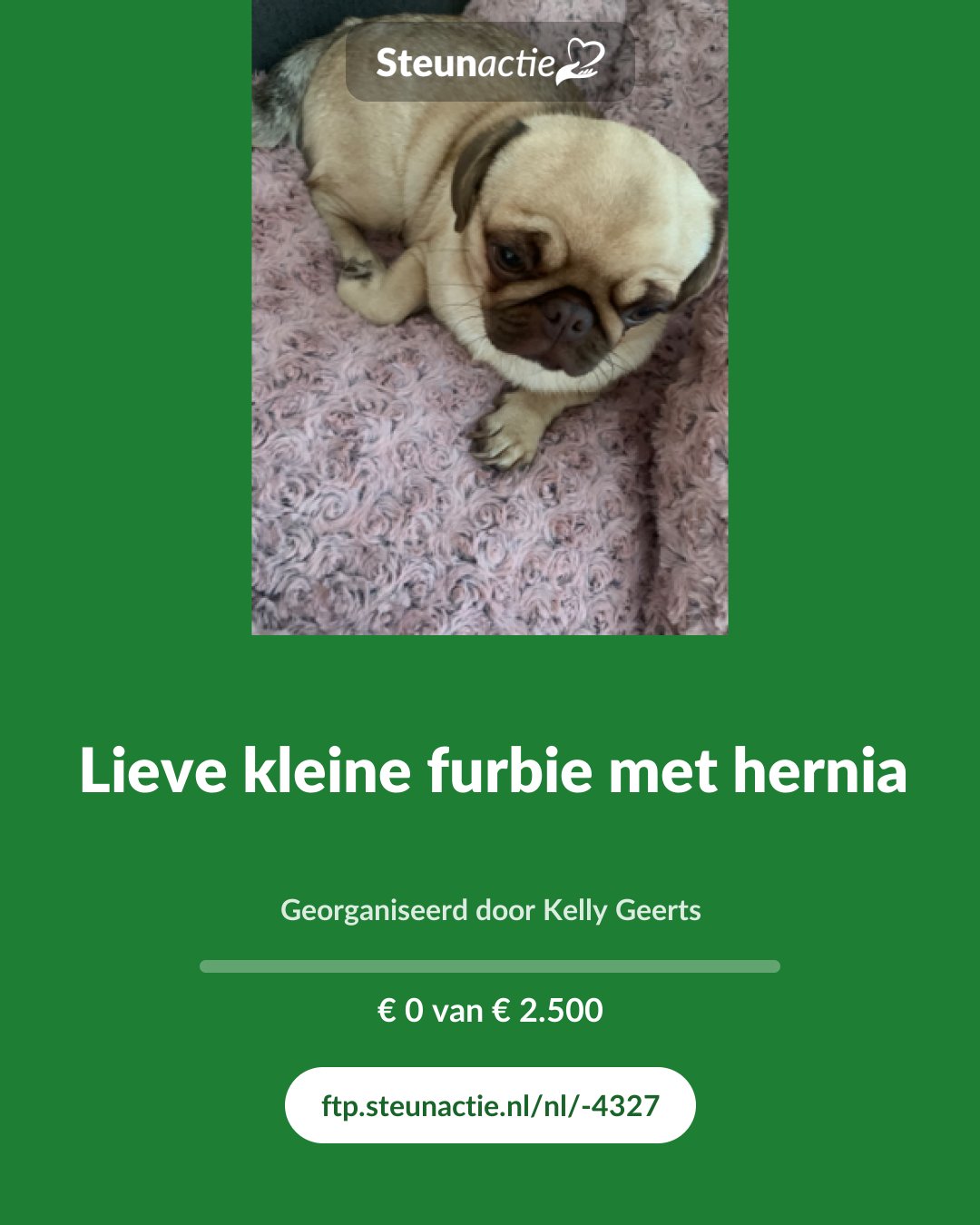 Voorbeeld van de afbeelding