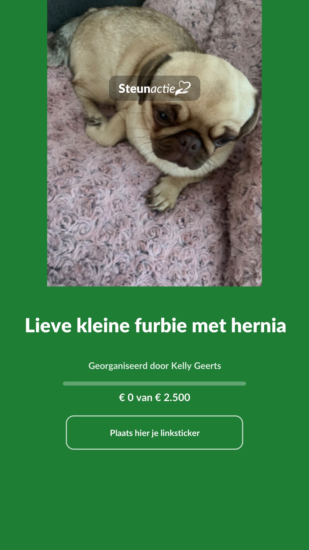 Voorbeeld van de afbeelding