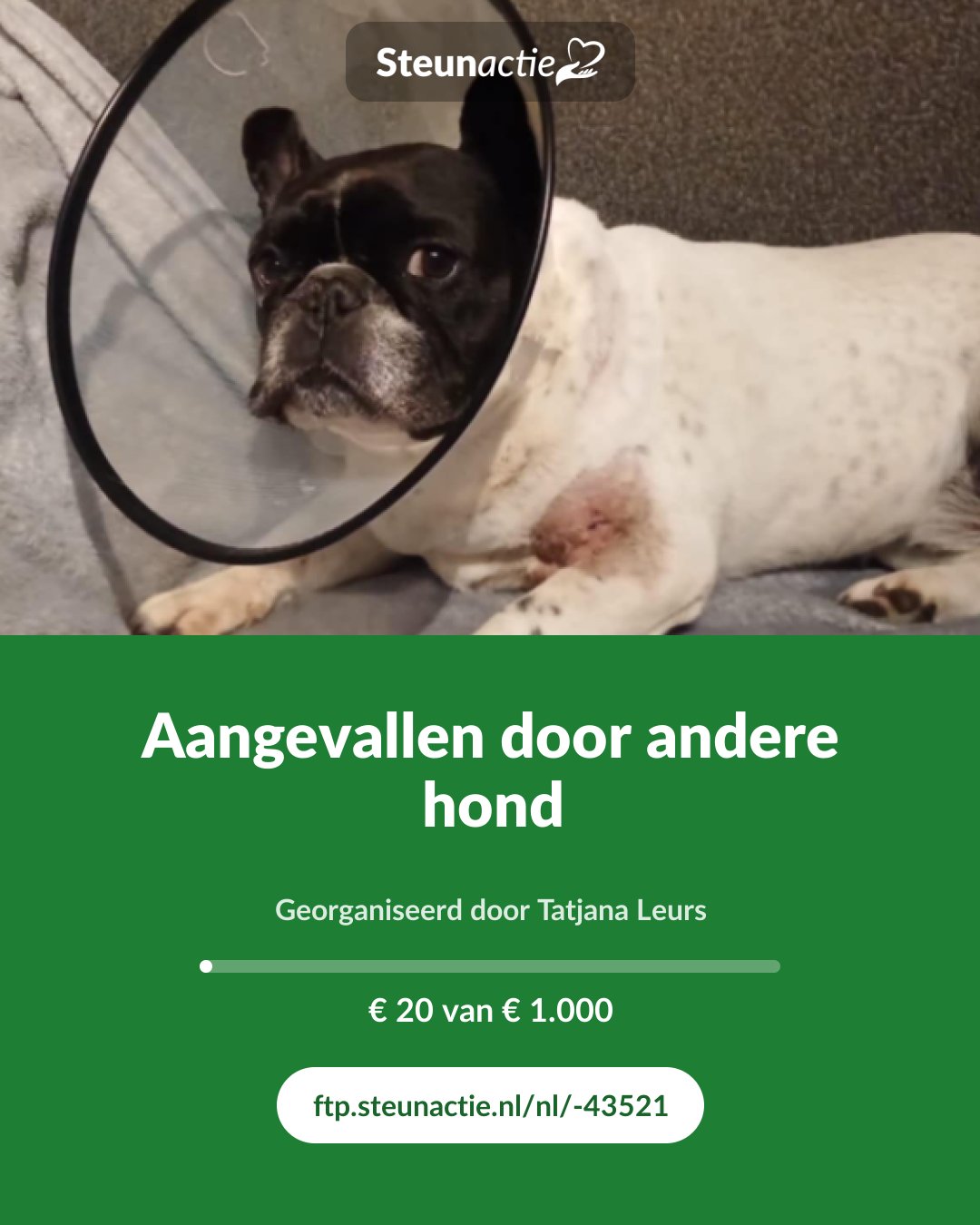 Voorbeeld van de afbeelding