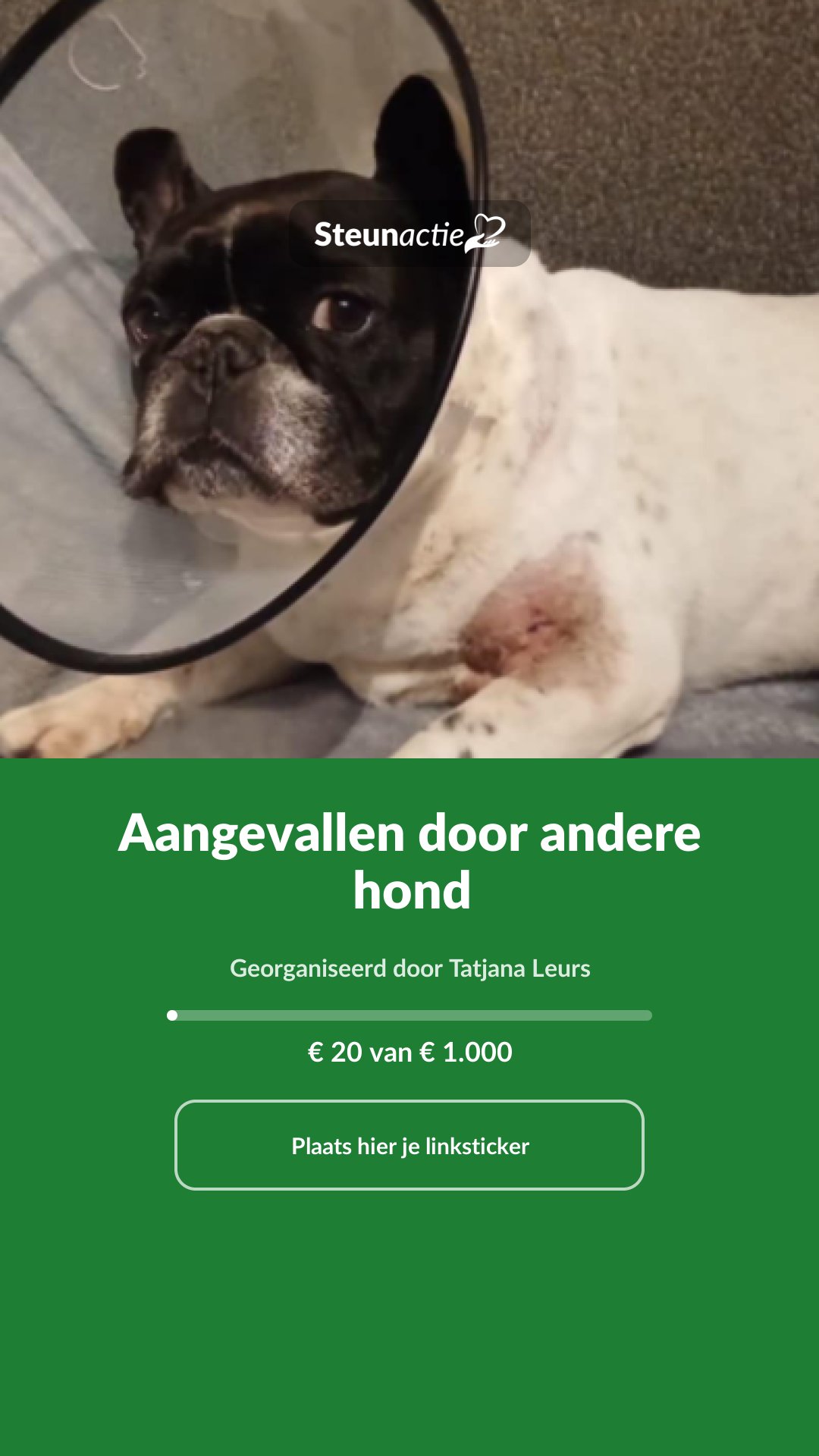 Voorbeeld van de afbeelding