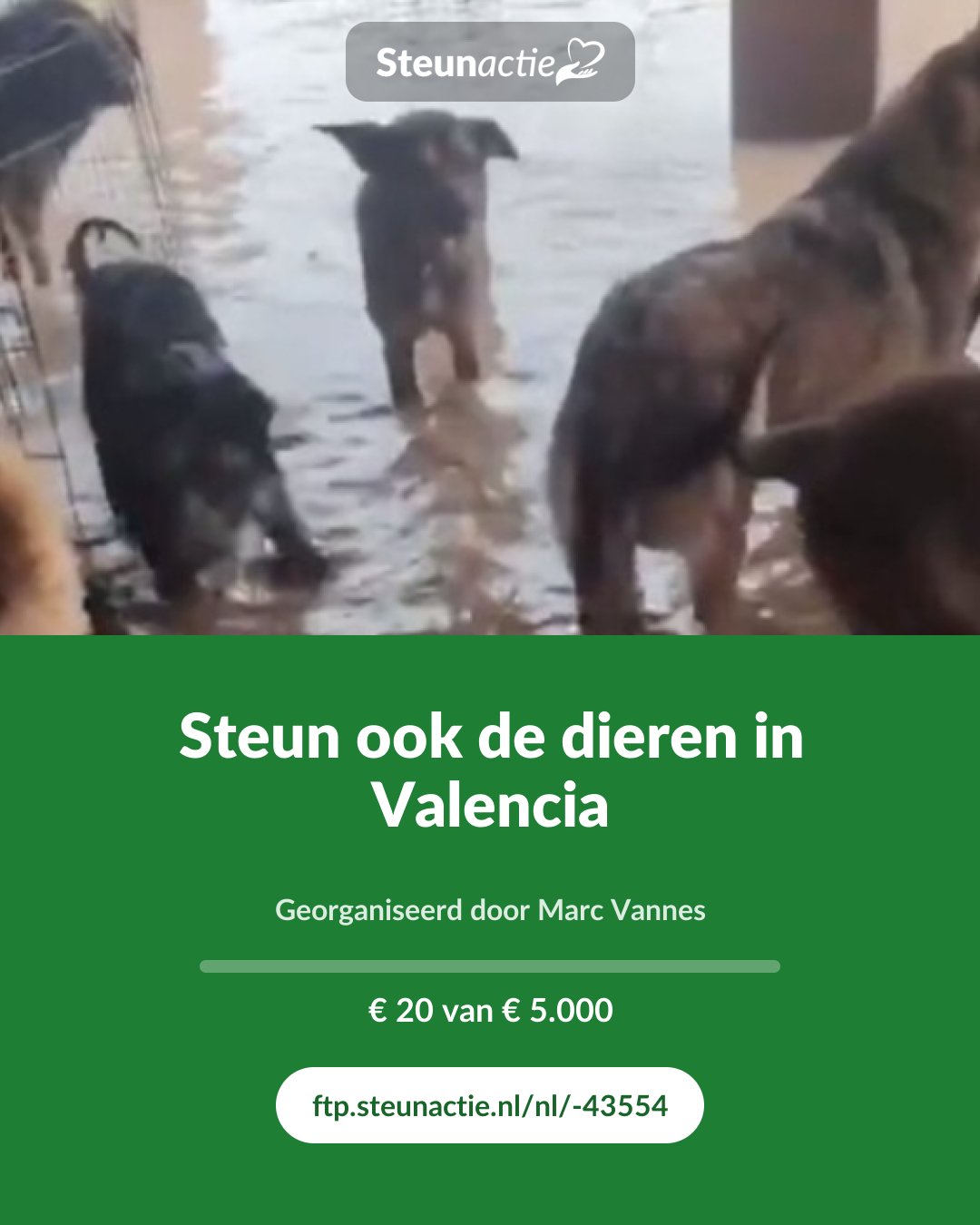Voorbeeld van de afbeelding
